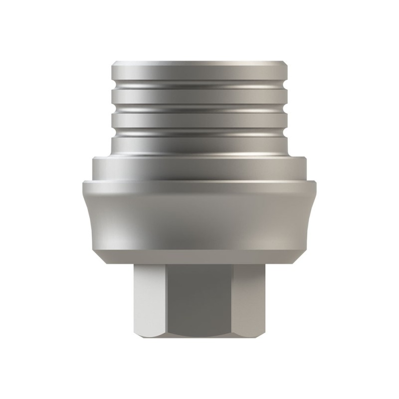 Hexágono interno 4.50 Base Cr-Co Ang.